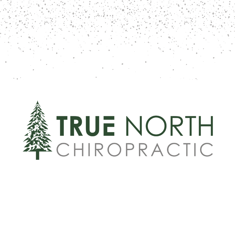 True North Chiropractic logo