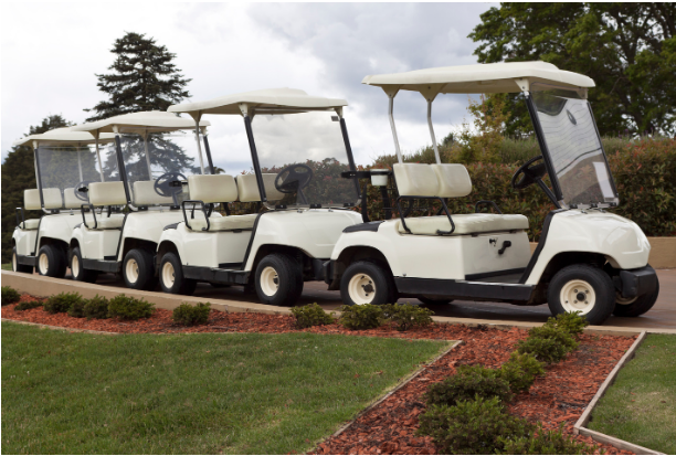 a line of golf carts line up along a road lined little with green bushes. 