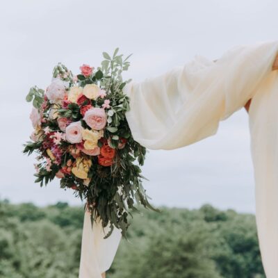 Ivy Lane Weddings + Co - Wedding World